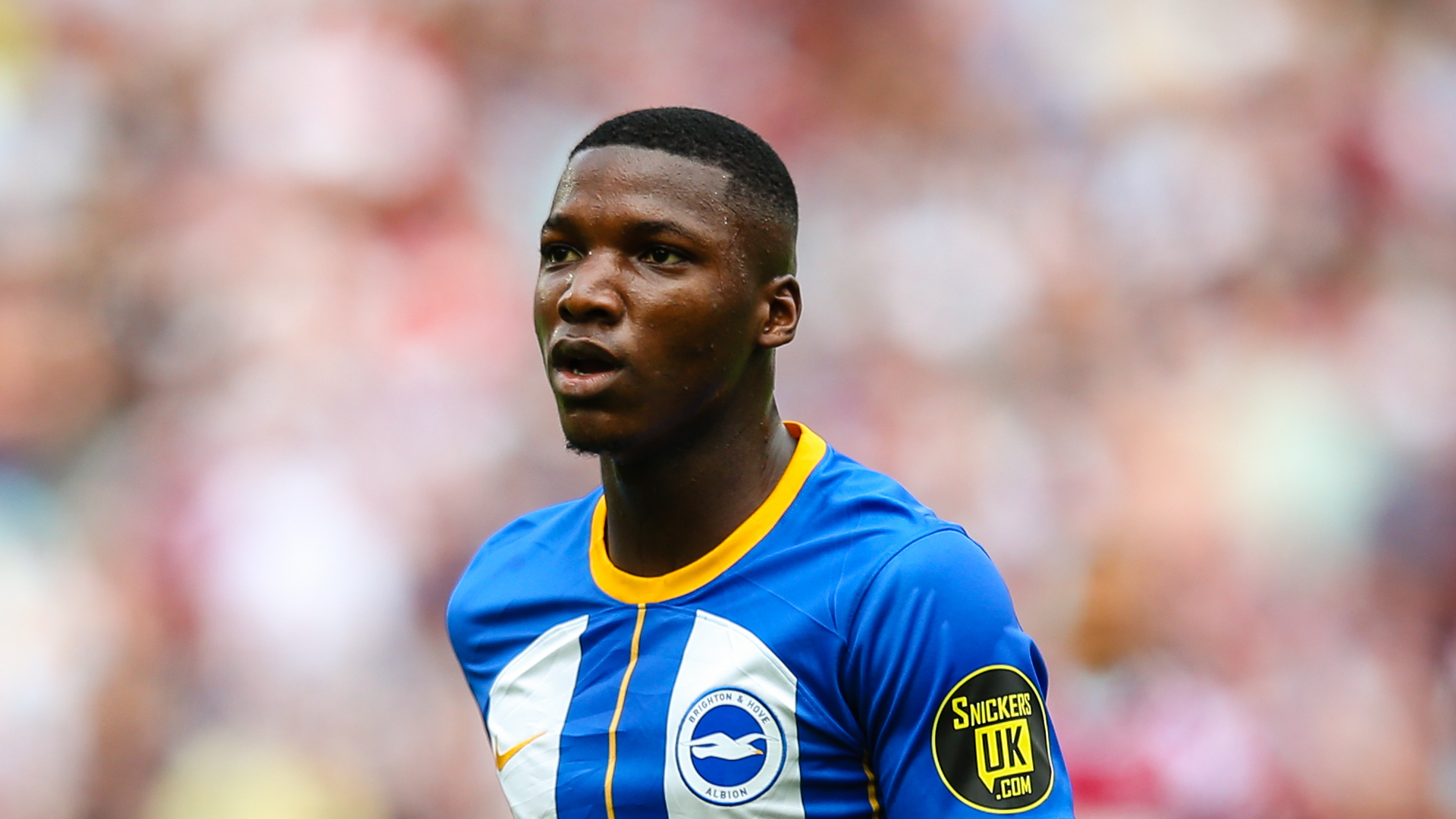 De Zerbi offers Arsenal encouragement in Caicedo chase
