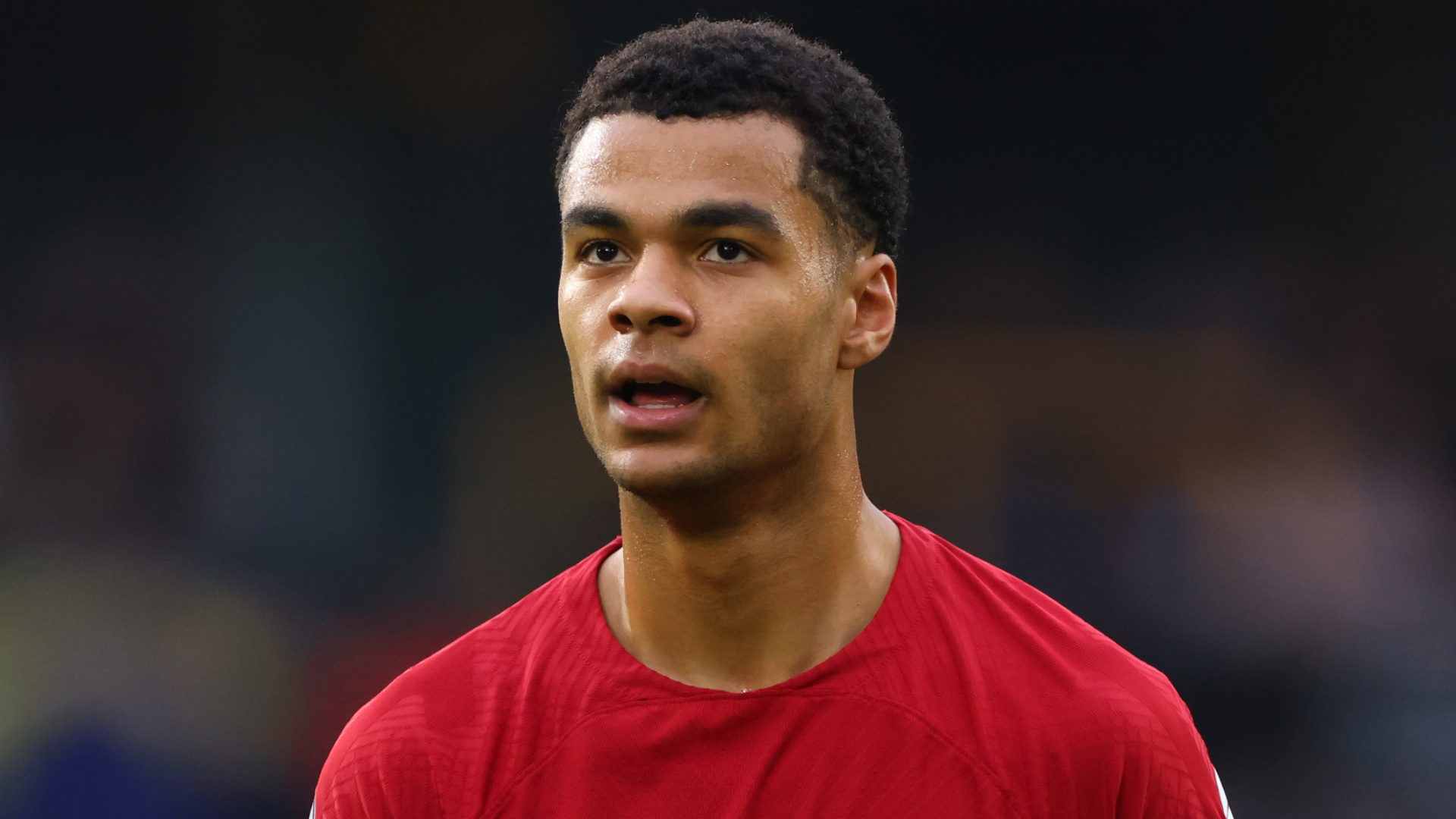 Koeman says Gakpo made Liverpool move too early