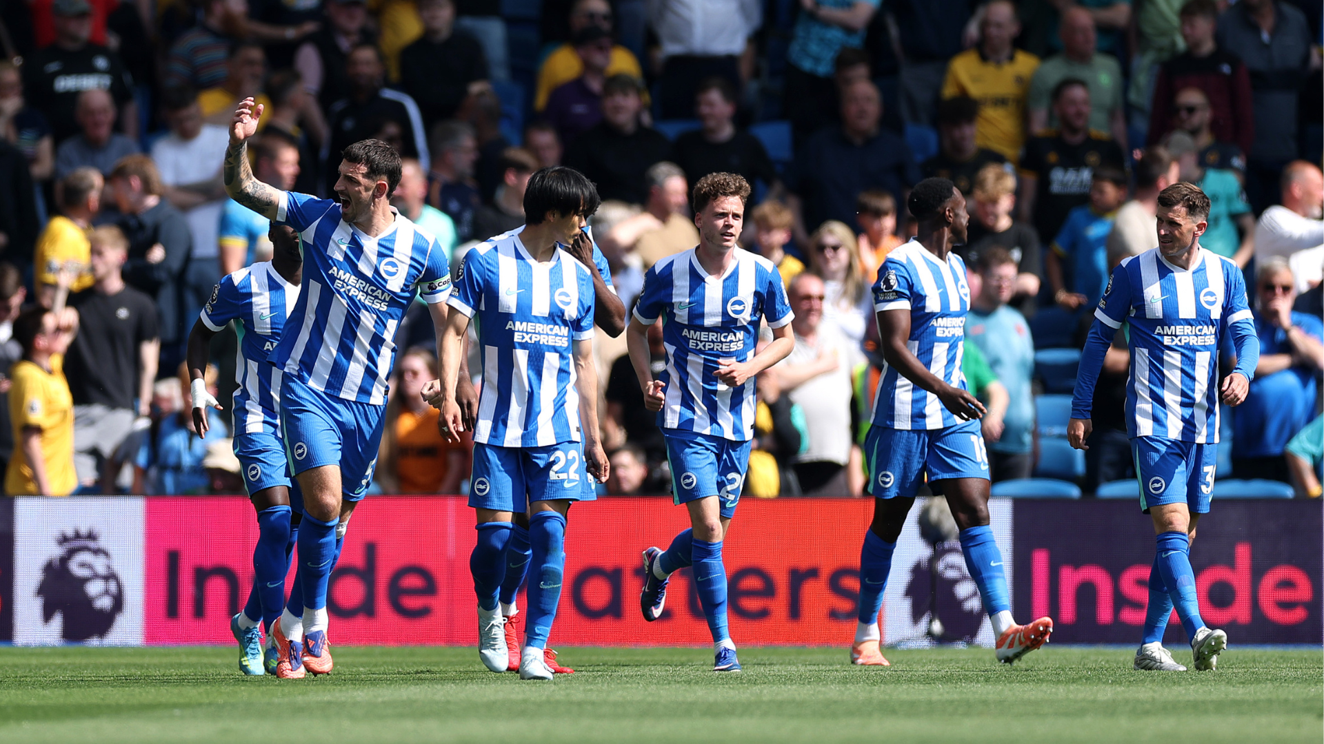 Report: Brighton 3-0 Wolves