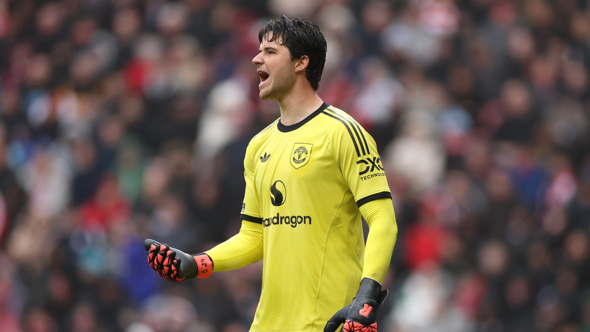 Ferdinand impressed by Lammens