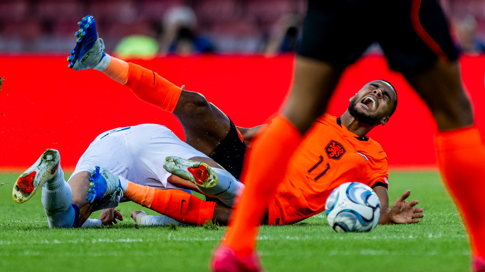 Gakpo leaves Dutch squad injured