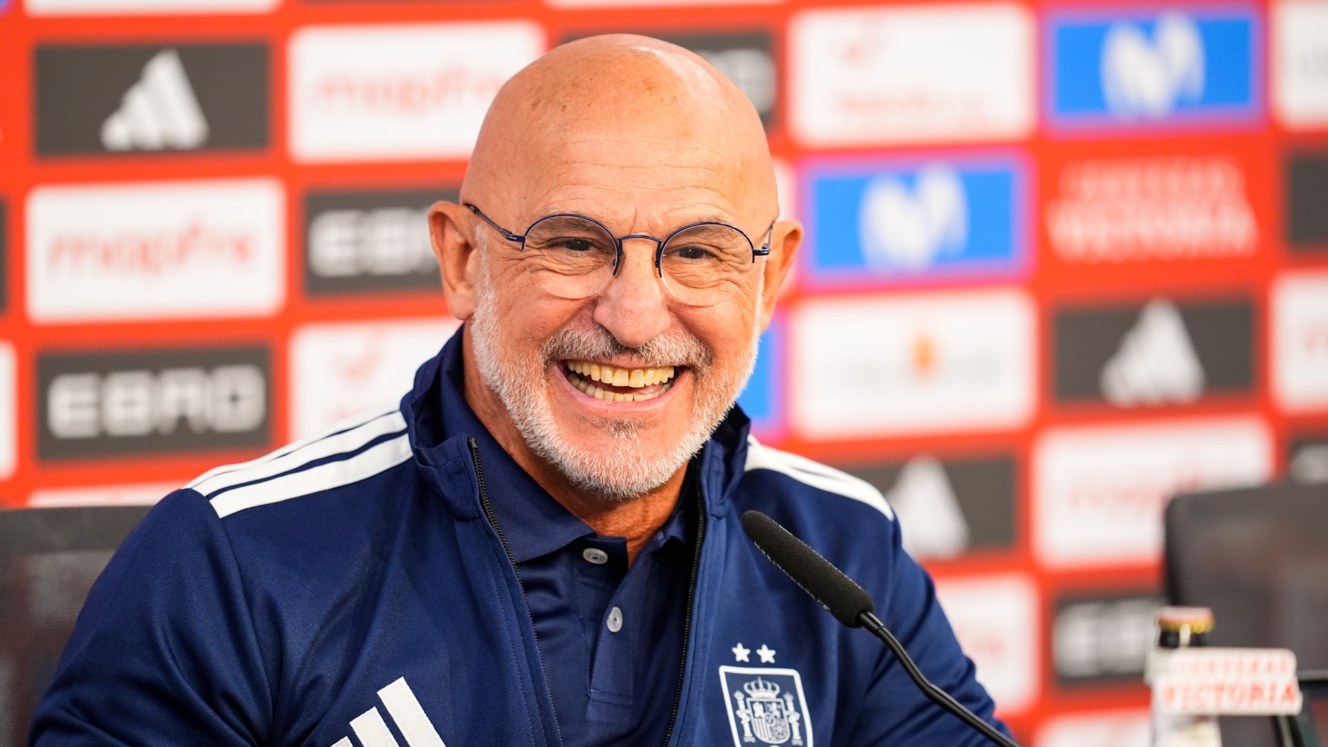 De la Fuente: Spain like 2010 team